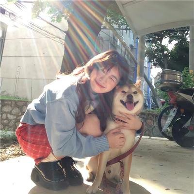 隆美尔宝藏